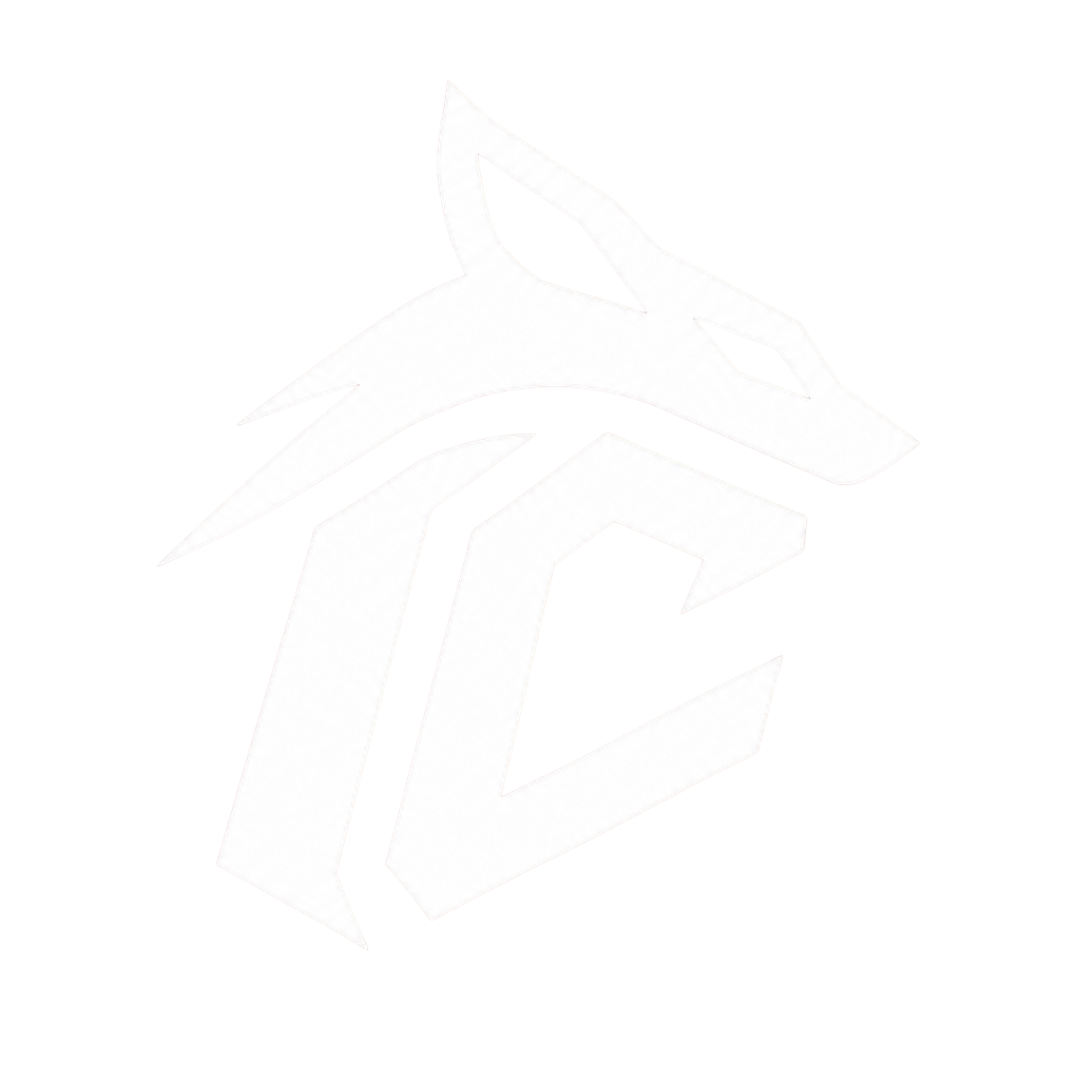 ICOSIUM